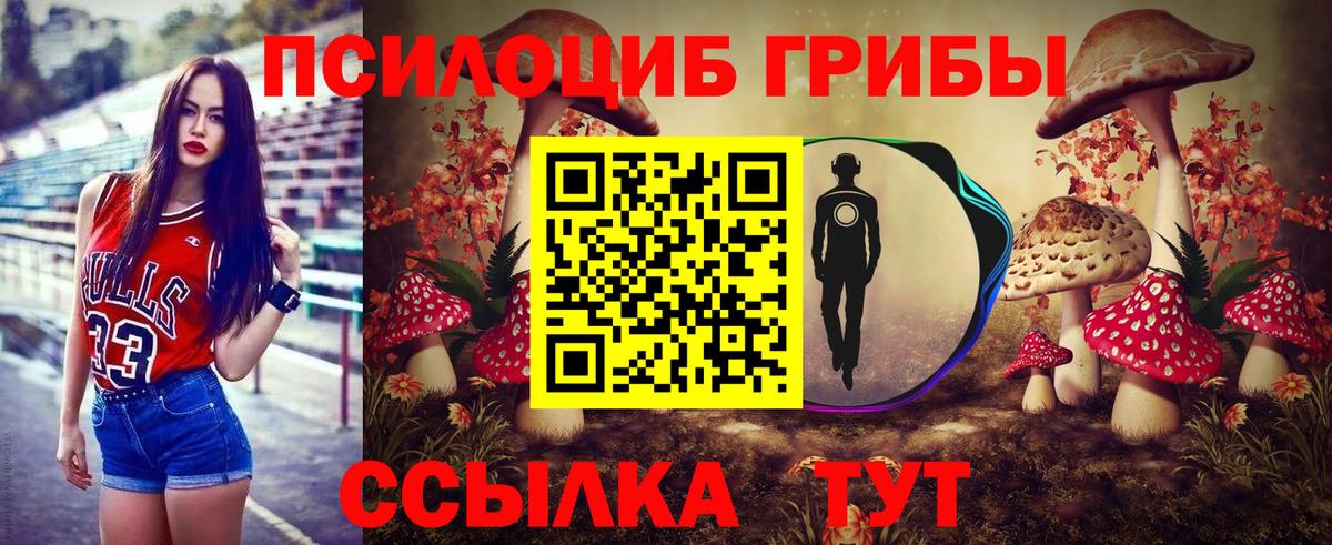 Галлюциногенные грибы Cubensis  Вход с VPN  Курчалой 